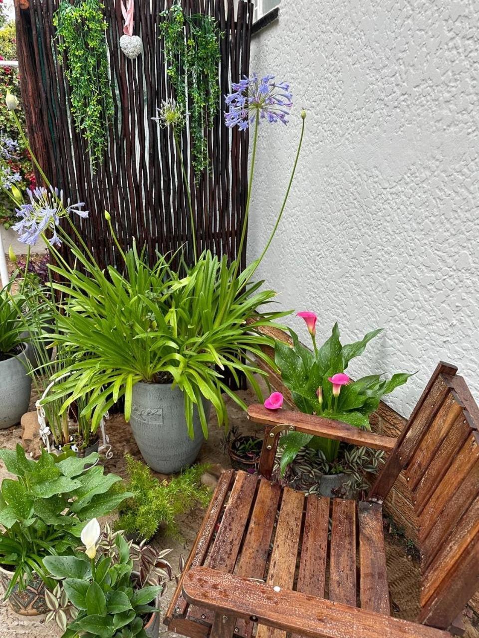 Bagley Terrace 136 Cottage Johannesburg Zewnętrze zdjęcie